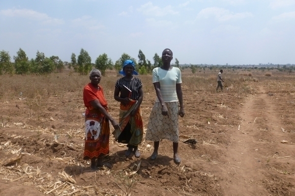 JCED Kasungu Malawi