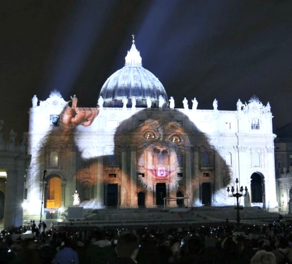 projection st peters basilica