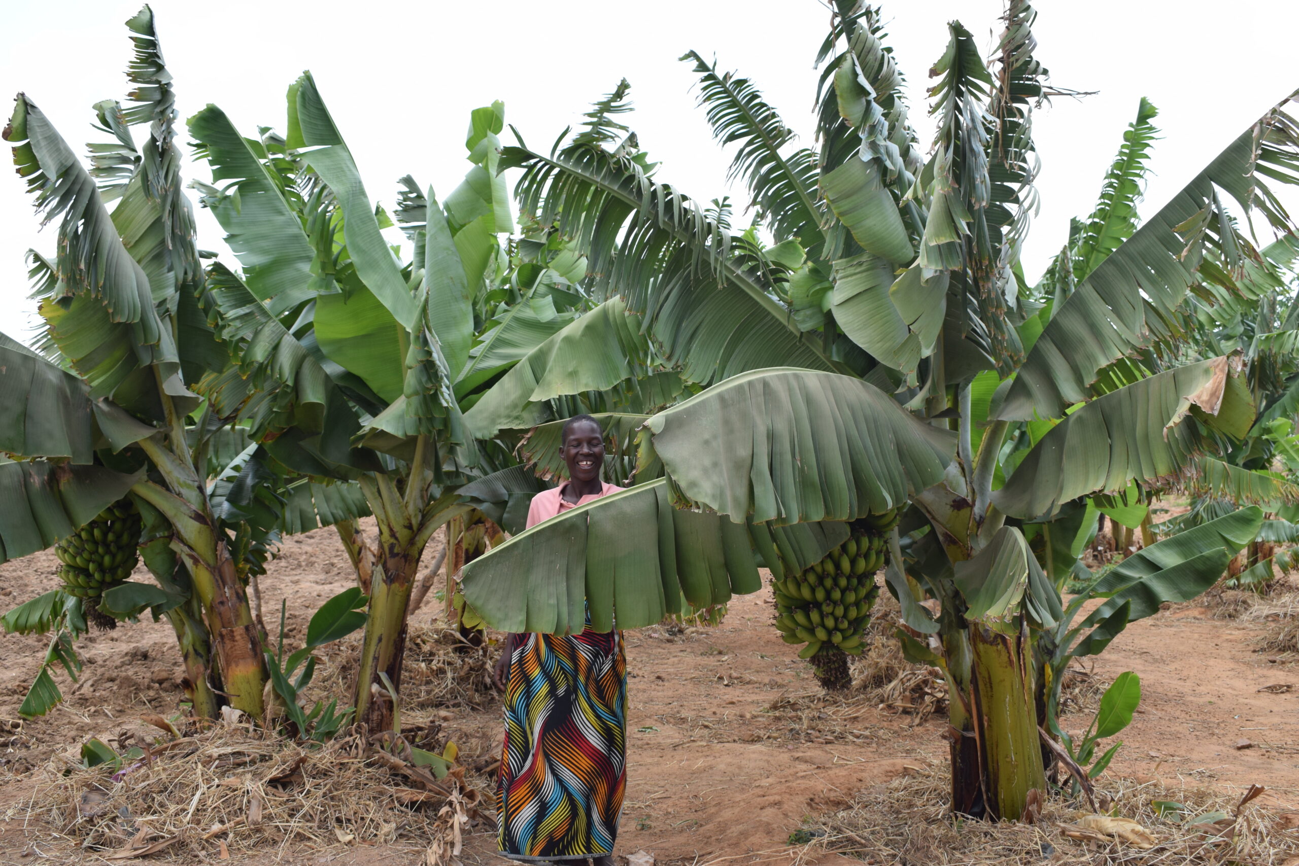 Mary stands proudly by her banana plantation posing for a photograph 