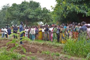 field officer gives agroforestry training to farmers.  